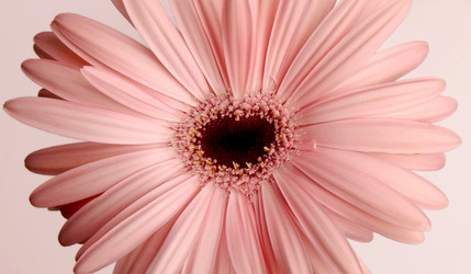 Similar image 21071847