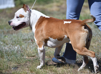 Similar image 21078313