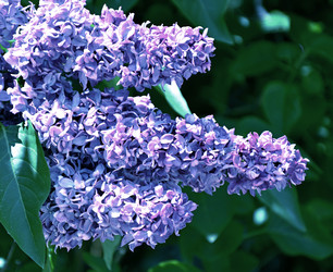 Similar image 21078319