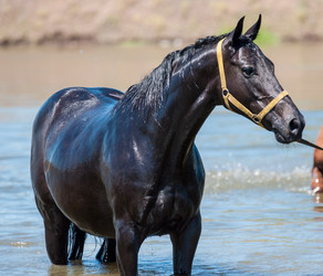 Similar image 21078320