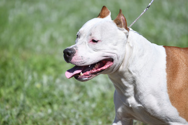 Similar image 21078321