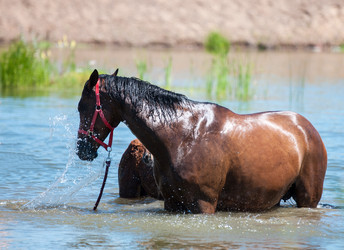 Similar image 21078322