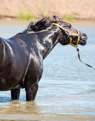 Similar image 21078323