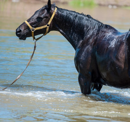 Similar image 21078324