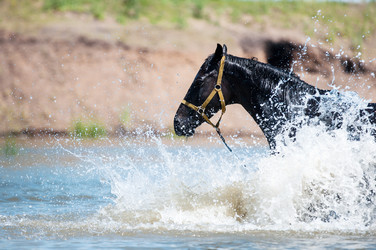 Similar image 21078325