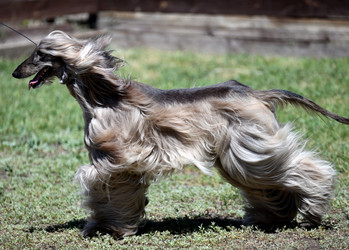 Similar image 21078336