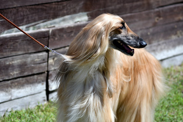 Similar image 21078337