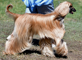 Similar image 21078339