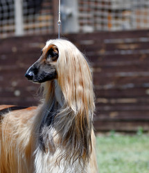 Similar image 21078341