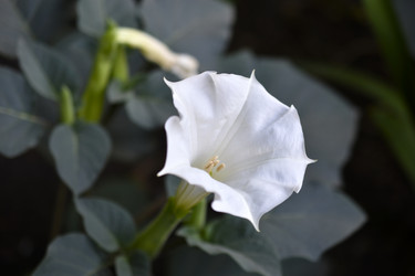 Similar image 21071396