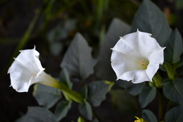 Similar image 21071397