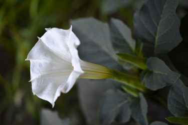 Similar image 21071398