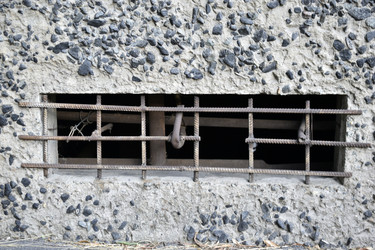 Similar image 21071399