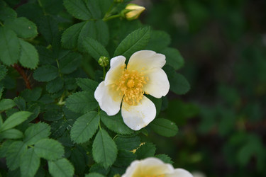 Similar image 21078343