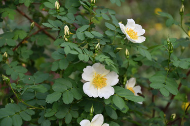 Similar image 21078344