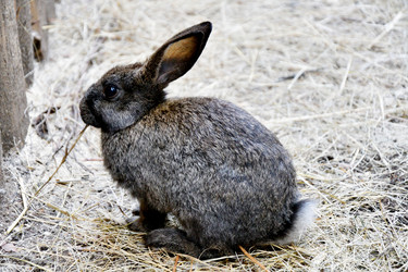 Similar image 21078345