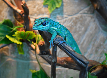 Similar image 21078350