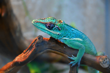 Similar image 21078353