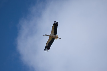 Similar image 21071337