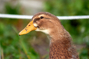 Similar image 21071338