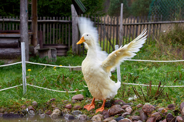 Similar image 21071340