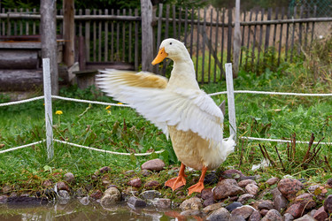 Similar image 21071341