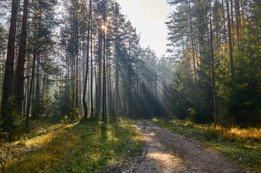 Similar image 21071345