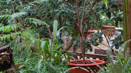 Similar image 21073089