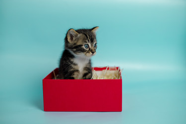 Similar image 21071347