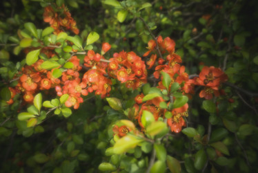 Similar image 21074201