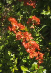 Similar image 21074202