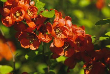 Similar image 21074203