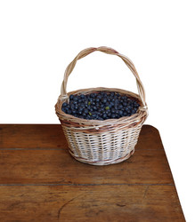 Similar image 21074205