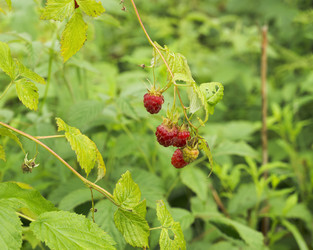 Similar image 21074206