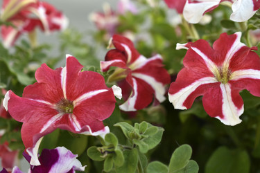 Similar image 21071401