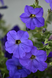 Similar image 21071402