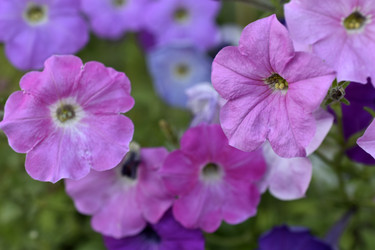 Similar image 21071403