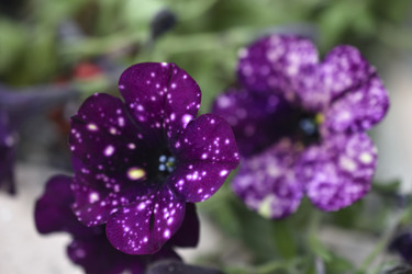 Similar image 21071407