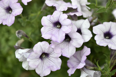 Similar image 21071408