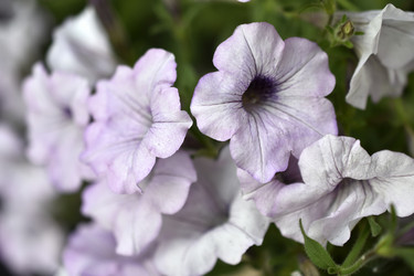 Similar image 21071409