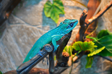 Similar image 21078354