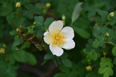 Similar image 21078355