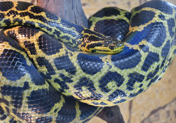 Similar image 21078356