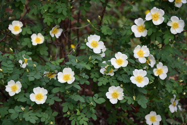 Similar image 21078357