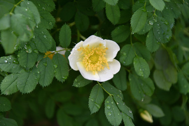 Similar image 21078358