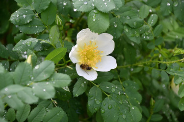 Similar image 21078359