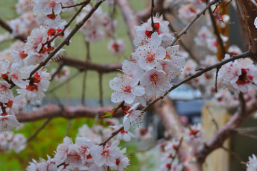 Similar image 21078360