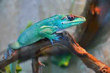 Similar image 21078362