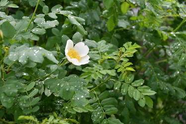 Similar image 21078363