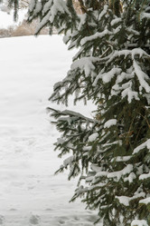 Similar image 21071909